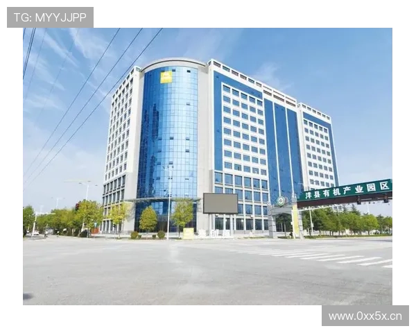 奋进洋县企业家以创新引领高质量发展新格局