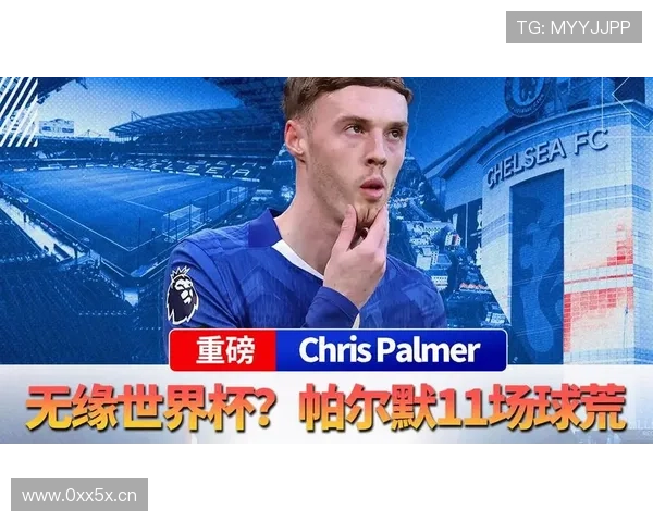 帕尔默无缘世界杯赞助营销受困
